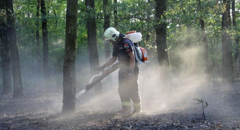 Kiderült, mi okozta a mezőfalvi tűzvészt, több helyszínen is felcsaptak a lángok (galéria)