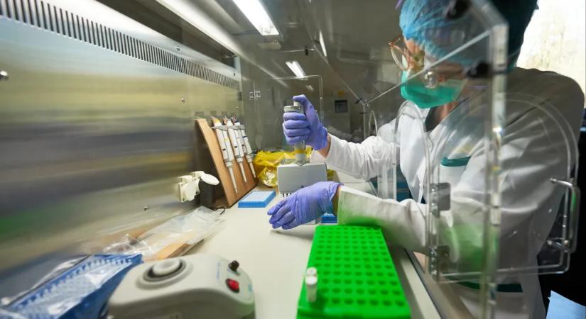 Így kezdhetné meg a felzárkózást az intézményi bénultságban szenvedő magyar tudomány