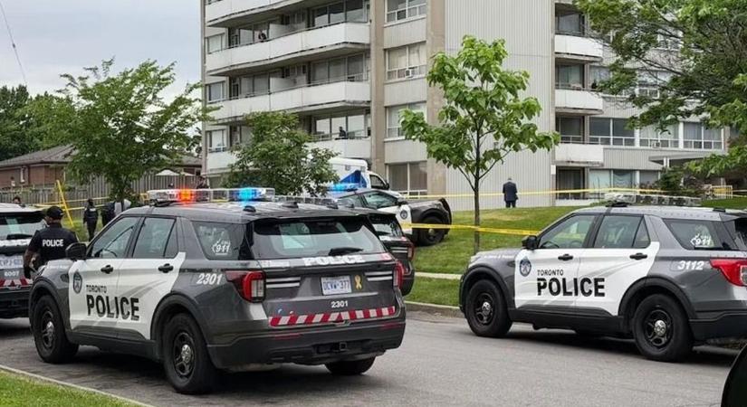 Halálra verték Torontóban a háromgyermekes borsodi édesapát, egy szépség az egyik gyilkos