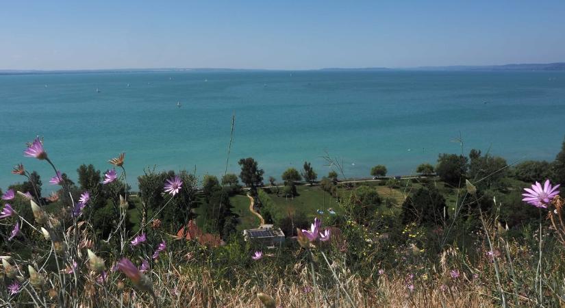 Erős széllökések enyhítik a kánikulát – Elsőfokú viharjelzés van érvényben a Balatonnál