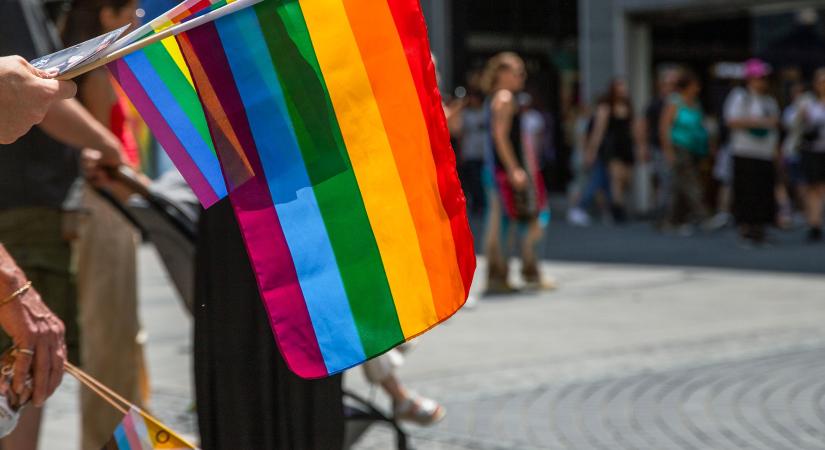 Ő az a férfi, aki leszedte a Pride-zászlókat az Erzsébet hídról – itt fogták el rongálásért – csakhogy ő maga ismerte el: nem rongálni akart, személyes meggyőződés vezette