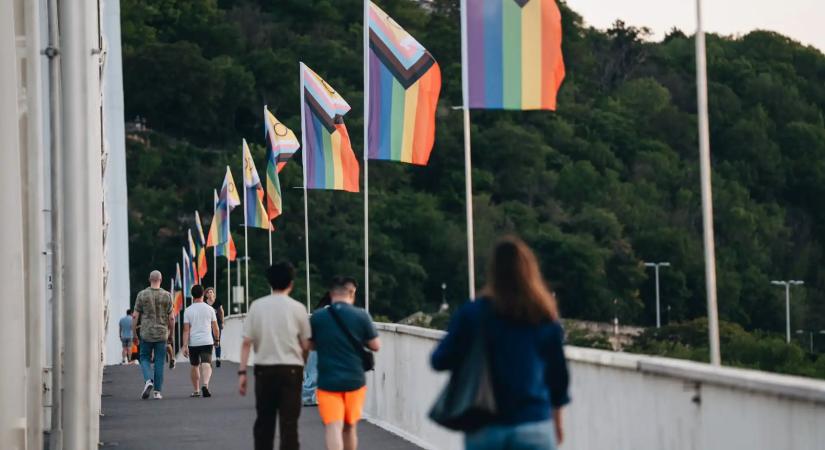 Bilincsben vitték el a mogyoródi férfit, aki tucatjával hajigálta a Dunába a szivárványos zászlókat