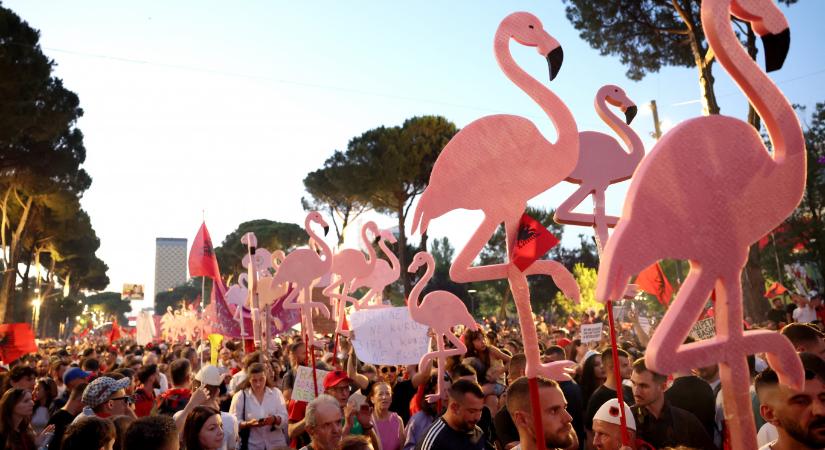 „Belefáradtunk a korrupcióba” – Albániában kormányellenes flamingóforradalom lett a Trump vejéhez köthető luxusüdülő elleni tiltakozásból