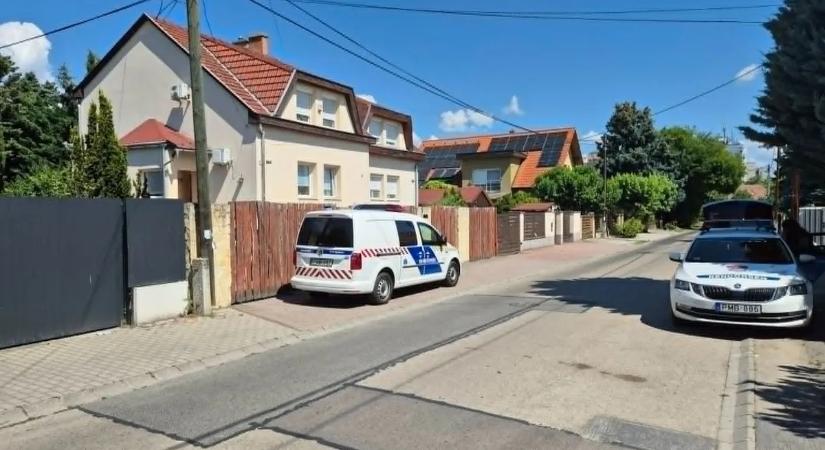 Emberölés Óbudán: folytatódott a helyszínelés, rendőrkutyát is bevetettek