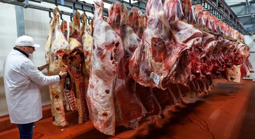 „Pattogó petefészkek és acélos erekció” – Bizarr magyarázattal indított sertéshúskampányt a Tisza-kormány