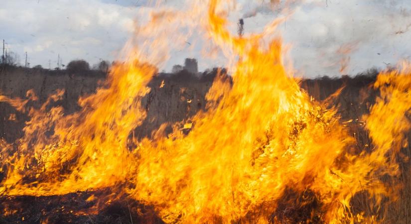 Közel 30 hektáron veszett oda a gabona Tiszaugnál