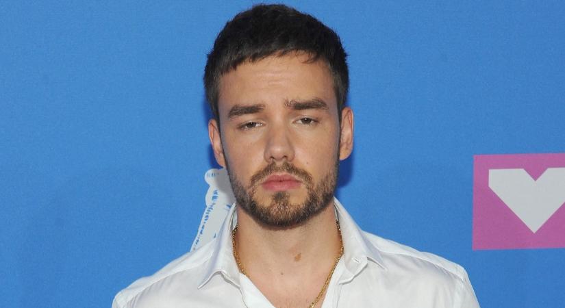 Liam Payne 9 éves fia örökli az énekes közel 29 millió dolláros vagyonát