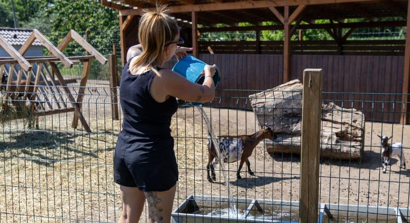 Így él túl a kánikulában vízhiánnyal küzdő település fotók, videó