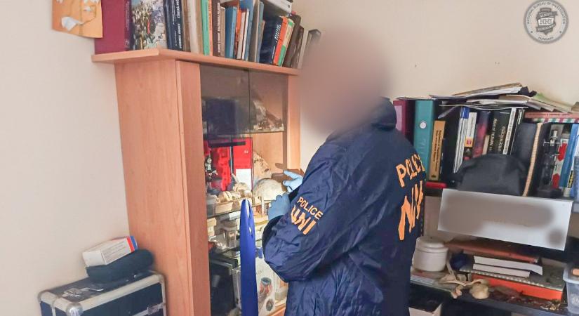 Bizarr részletek: emberi testrészeket gyűjtött, még holttesteket is kiásott a beteghordozó – 18