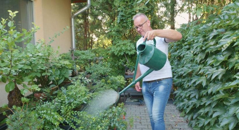 A jó öntözés titka - Mikor, mivel és milyen gyakran érdemes locsolni a növényeket - videó