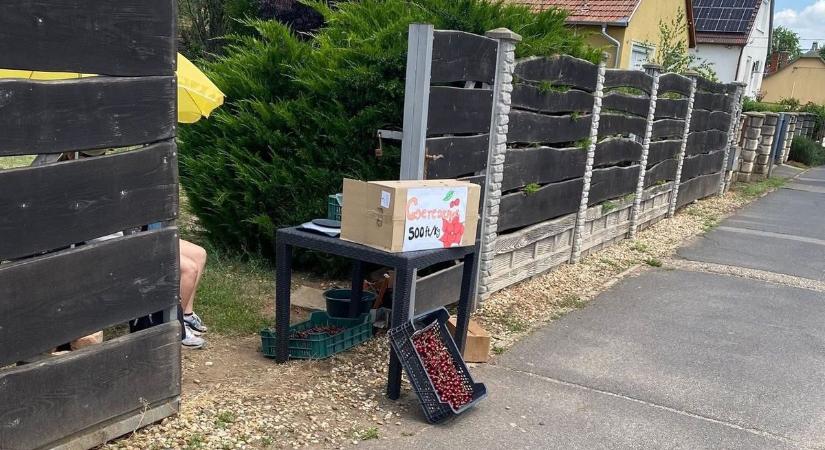 Komoly bírságra számíthat, ha így árulja saját termelésű gyümölcsét! Itt vannak a részletek