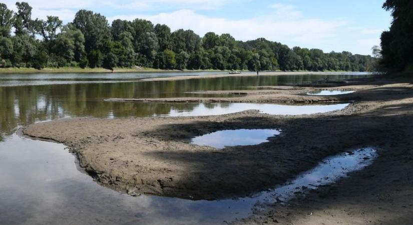 Bármelyik pillanatban újra elnyelheti a Tisza a most felbukkant különleges szigetet