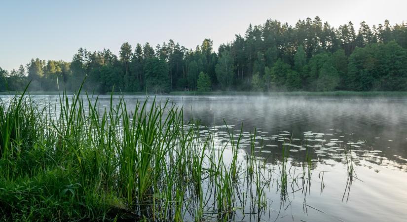 Most érkezett: női holttestet találtak a tatai Öreg-tóban