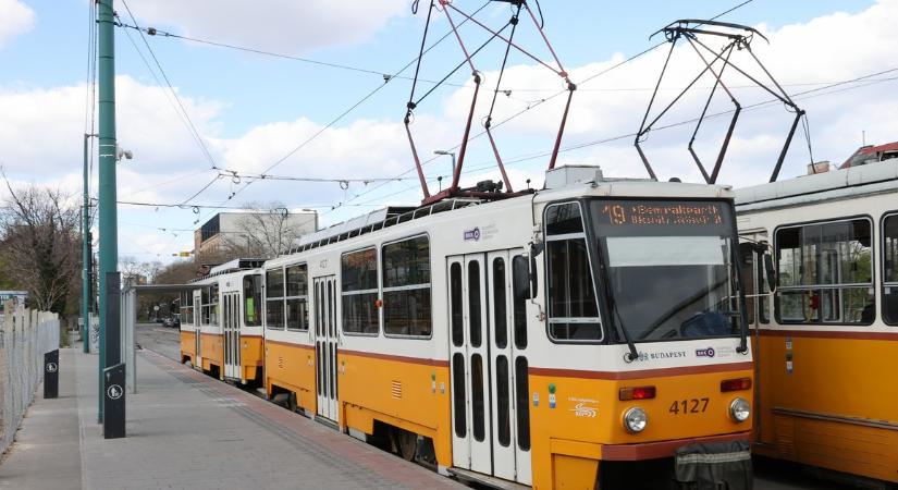 Dráma Albertfalván: a villamos elé akarta lökni Dánielt a rettegett garázda – Félnek a környéken, nem ez volt az első ügye, mégis szabad