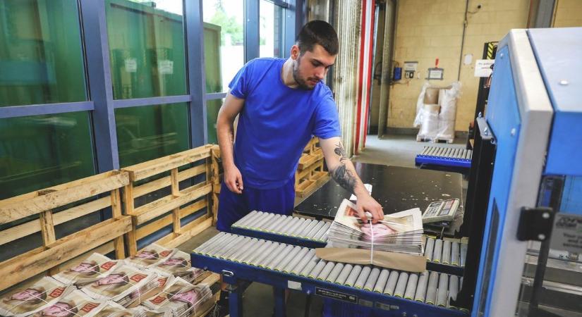 Már lehet regisztrálni a támogatott diákmunka programra Hevesben – az érdeklődés mindkét oldalon nagy