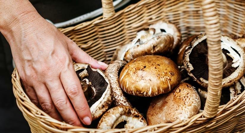 A 3 kedvenc nyári kiruccanásom, ami egyetlen forintba sem kerül – mégis feltölt