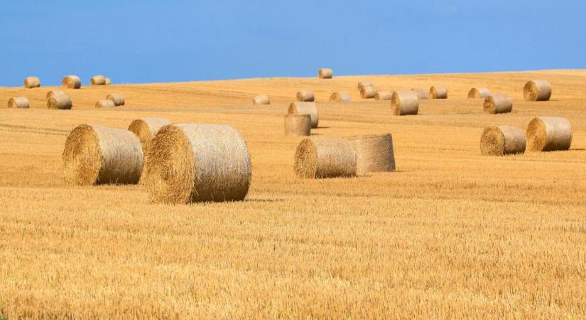 Akár 80 fokig is hevülhet a bálák belseje – veszélyes lehet a figyelmetlenség
