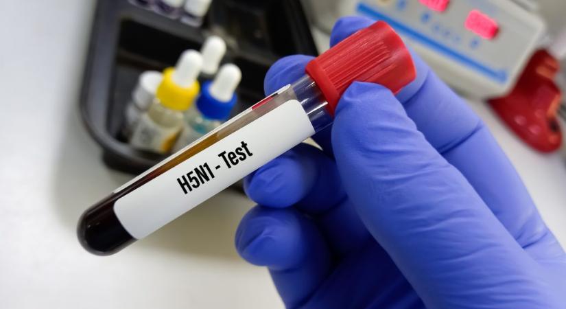 Az egész világot elérte a H5N1 vírus