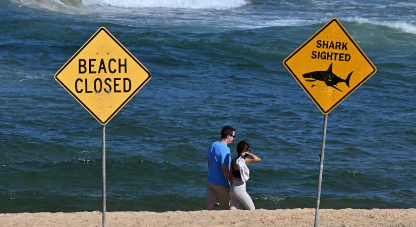 Cápa támadta meg egy sydney-i strandon, tíz nap után ébredt fel a mesterséges kómából