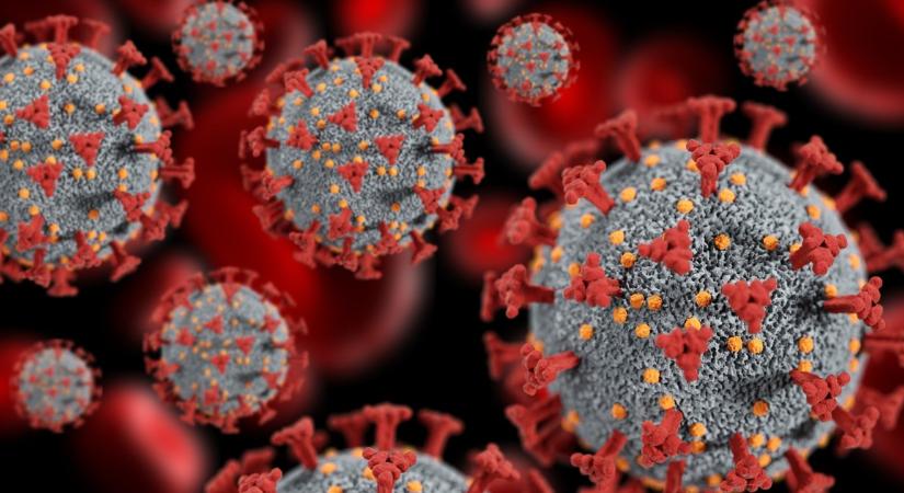 Európába ért az ebola: Franciaországban regisztráltak megbetegedést