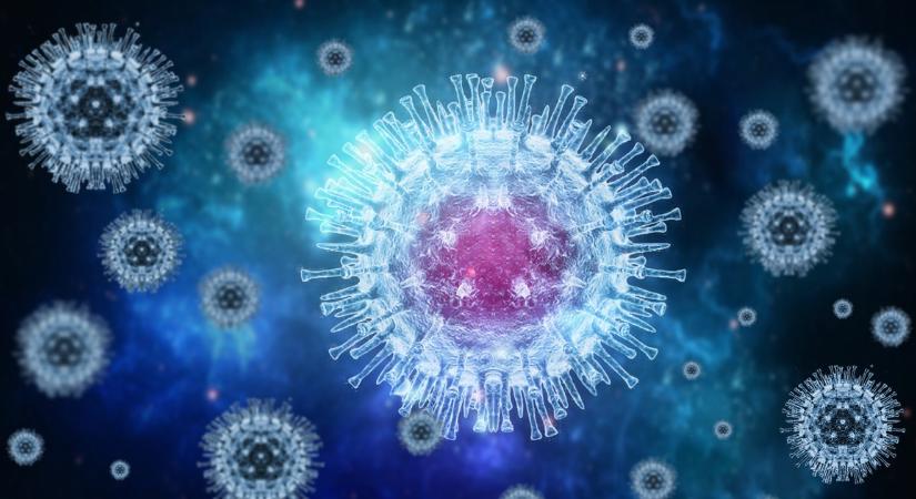 Riasztó eset: először diagnosztizáltak Ebola-fertőzést az országban