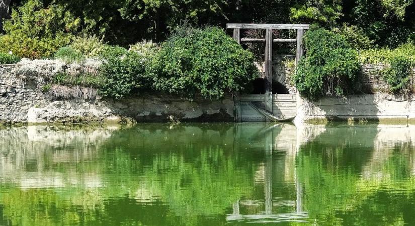 Rejtett csodákhoz vezető, időutazásra hívó ösvényeket mutatunk bakonyi arborétumból (galéria  videó)