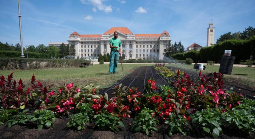 Nem csak az oktatás virágzik már a Debreceni Egyetemen