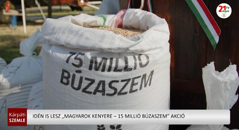 Idén is lesz „Magyarok Kenyere – 15 millió búzaszem” akció (videó)
