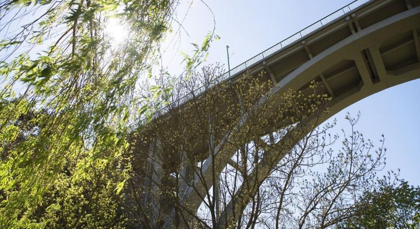 A járókelők akadályoztak meg egy újabb tragédiát a veszprémi viadukton