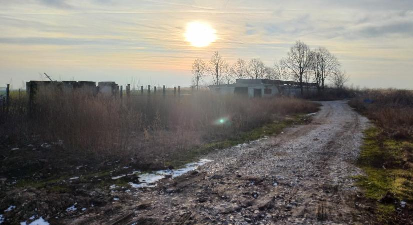 Bekeményít az EU: radikálisan megváltoznak a kitoloncolás feltételei
