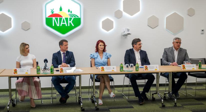 Indul a szezon: Kiváló minőségű a magyar dinnye