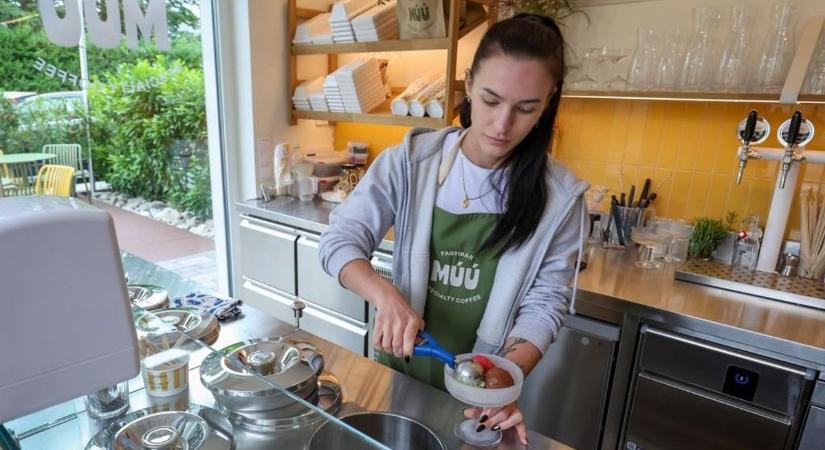 Fonyódon a felhevült négylábúakra is gondolnak – elkészítették az egészséges kutyafagyit