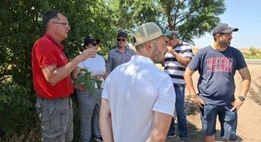 Fenológia Figyelő Napok, 2026.06.23. Jánoshalma, Bácsalmás