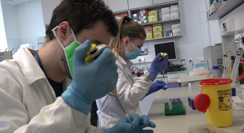 Kiderült, ki hozta át az ebolát Európába, azonnal elkülönítették a beteget