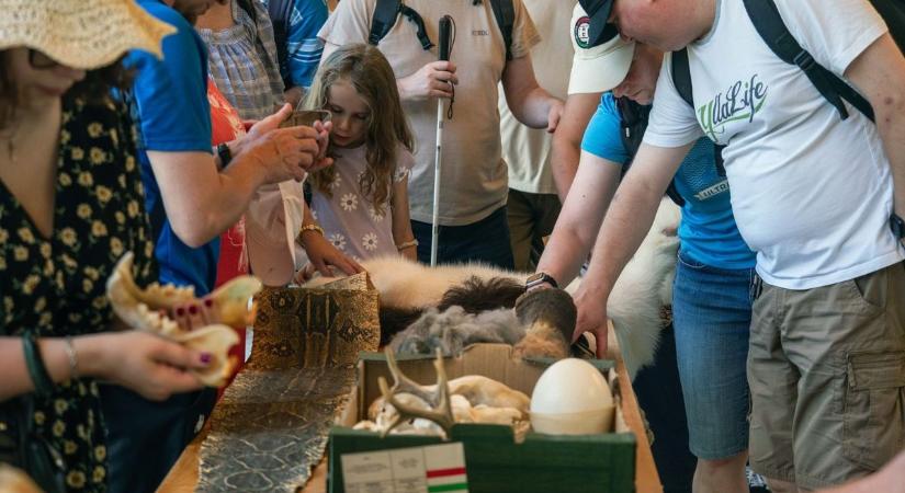 Ritka pillanatok a Veszprémi Állatkertben: több állatot is megsimogathattak a vendégek ( galéria)