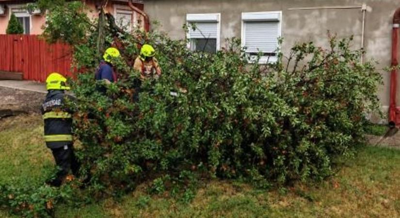 Belecsaphat a villám az autónkba? Elárulta a szakértő, mi a legrosszabb döntés a tomboló vihar alatt