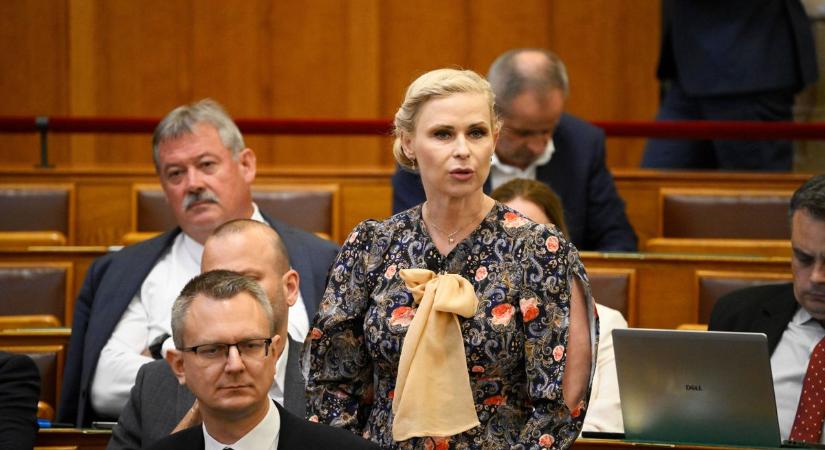 Hujber Ferenc “kedves” üzenete nekem: „Pofád lapos Hajni!”