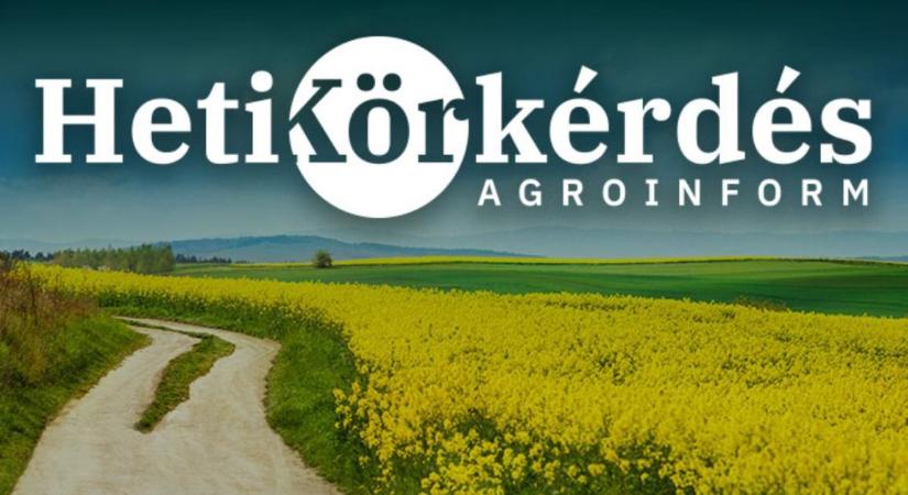 Mutasd, melyek a stressztűrésben jeleskedő repcehibridek! – Heti Körkérdés