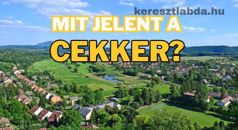 Tájszólás feladat: Nagymamák kedvence, de te is ismered ezt a szót?
