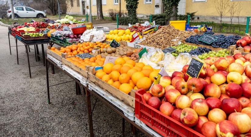 Gyógyítja a veséket és hidratál: már 700 forintért árulják a nyár szuperélelmiszerét a tatabányai piacon