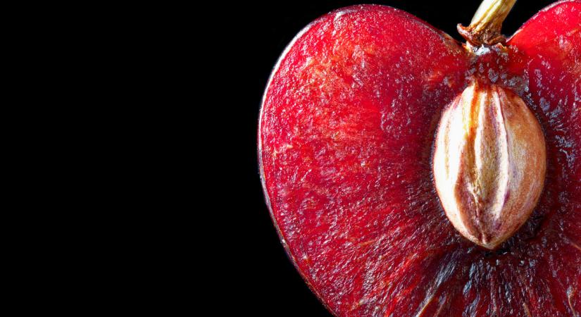 9 gyümölcs, aminek mérgező a magja: a gyerekek esetében különösen fontos, hogy sose nyeljék le őket!