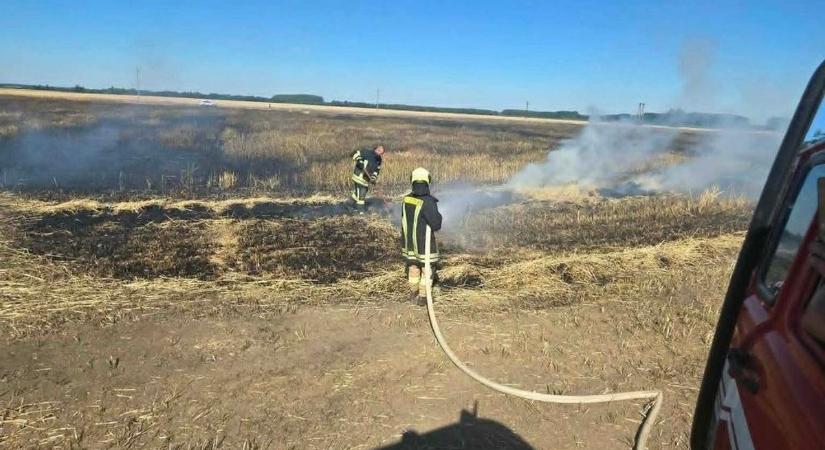 Két hektáron lábon álló gabona égett Vas megye közelében