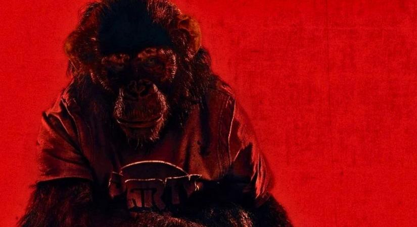 Nyáron a SkyShowtime-on: Nicole Kidman, Zoe Saldaña, Star Trek és horror, burtális sorozat- és filmdömping jön!