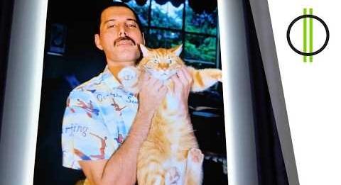 Freddie Mercury kiállítás Budapesten