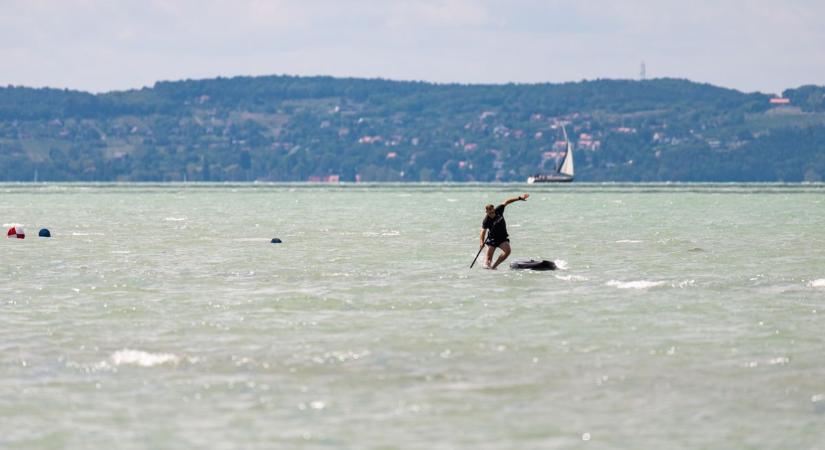 Kis híján a Balatonba fulladt egy 81 éves szörfös, a vízirendőrök mentették ki