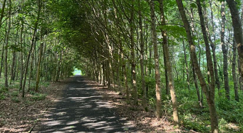 Van egy jó tippünk, hova menekülj a városi forróságból Zalában (galéria, videó)