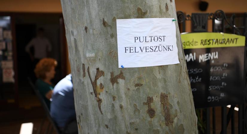 Nagyot nőtt a dolgozó magyarok száma április óta