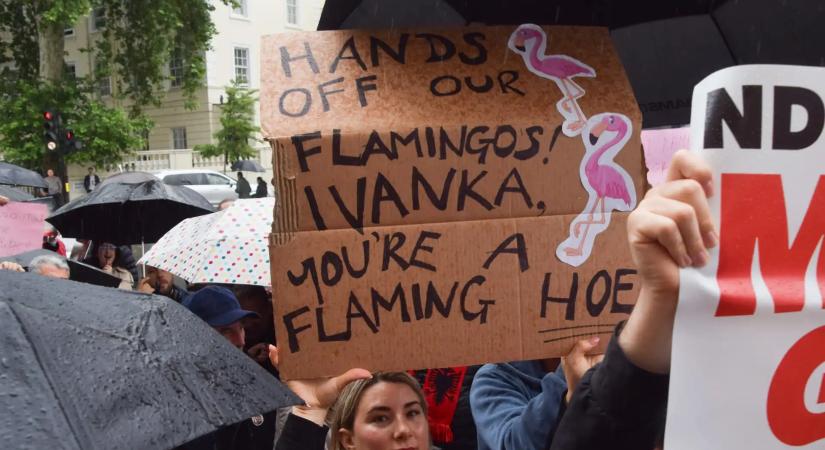 Flamingós forradalom: Ivanka Trump albániai beruházási terve tömegtüntetéseket váltott ki