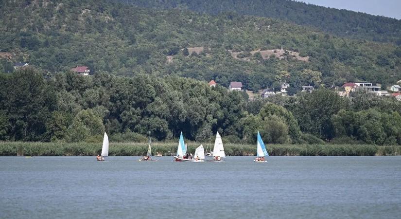 Hamarosan indulnak a NAV ellenőrzések – ezek a vállalkozók számíthatnak a legtöbb vizsgálatra