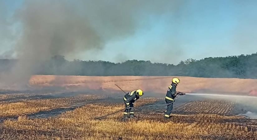 Tarlótűz pusztított Felsőmocsoládnál